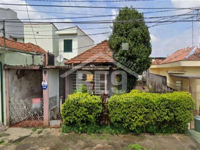 Terreno / Lote para Venda em São Paulo/SP Quinta da Paineira