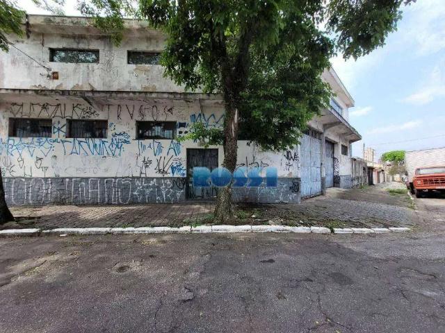 Terreno / Lote para Venda em São Paulo/SP Quinta da Paineira