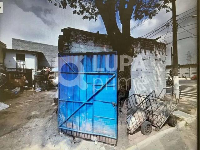 Terreno / Lote para Venda em São Paulo/SP Quinta da Paineira