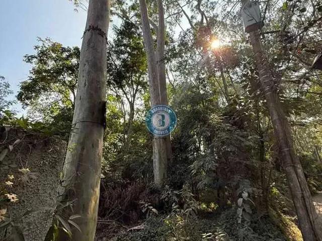 Terreno / Lote para Venda em São Paulo/SP Riviera Paulista
