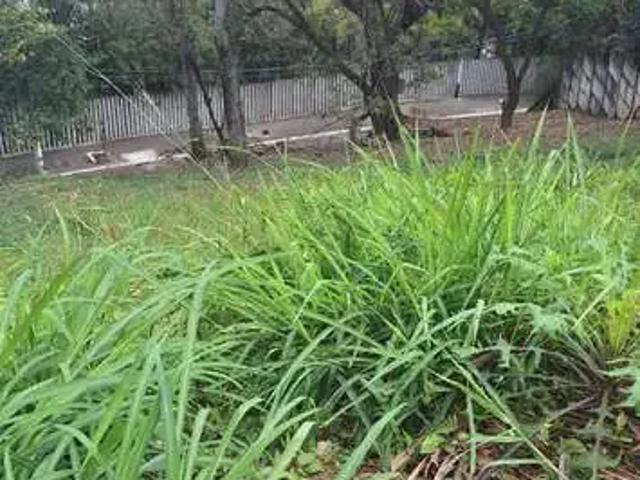 Terreno / Lote para Venda em São Paulo/SP Rolinópolis