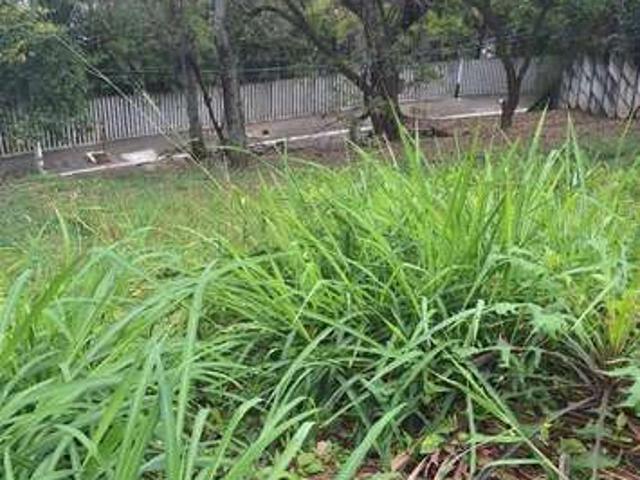 Terreno / Lote para Venda em São Paulo/SP Rolinópolis