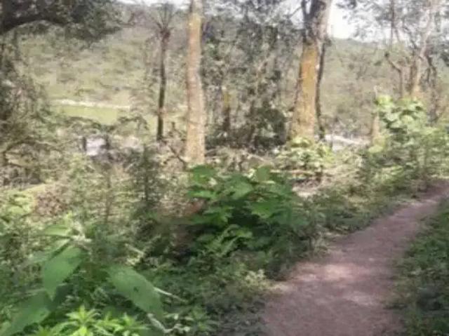 Terreno / Lote para Venda em São Paulo/SP São Mateus