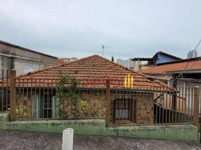 Terreno / Lote para Venda em São Paulo/SP Santa Teresinha