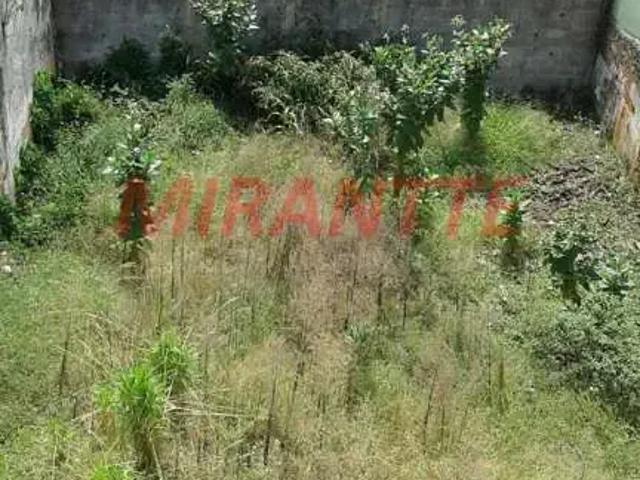 Terreno / Lote para Venda em São Paulo/SP Santa Teresinha