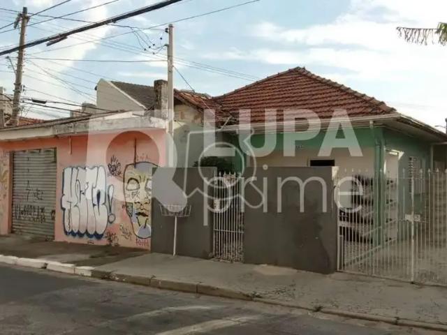 Terreno / Lote para Venda em São Paulo/SP Santa Teresinha