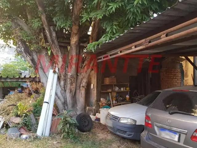 Terreno / Lote para Venda em São Paulo/SP Santa Teresinha