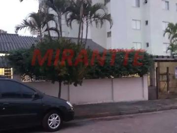 Terreno / Lote para Venda em São Paulo/SP Santa Inês