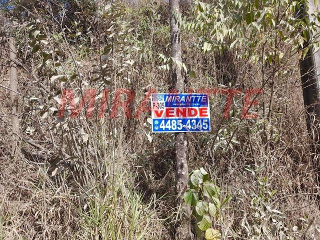 Terreno / Lote para Venda em São Paulo/SP Santa Inês