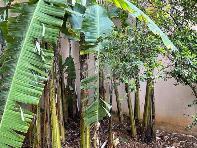 Terreno / Lote para Venda em São Paulo/SP Santana