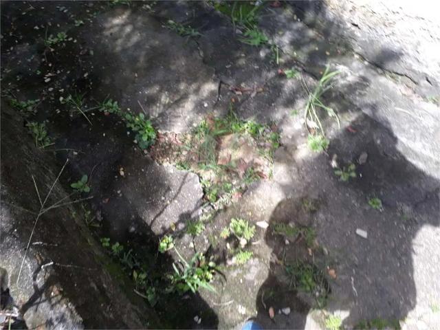 Terreno / Lote para Venda em São Paulo/SP Santana