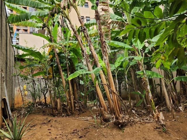 Terreno / Lote para Venda em São Paulo/SP Santana