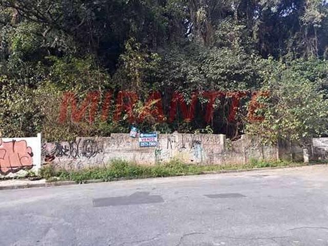 Terreno / Lote para Venda em São Paulo/SP Santana