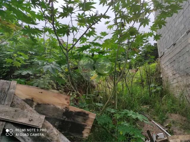 Terreno / Lote para Venda em São Paulo/SP Santana