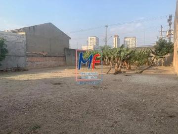 Terreno / Lote para Venda em São Paulo/SP Santo Amaro
