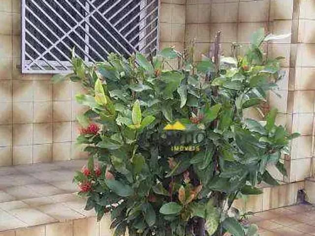 Terreno / Lote para Venda em São Paulo/SP Sacomã