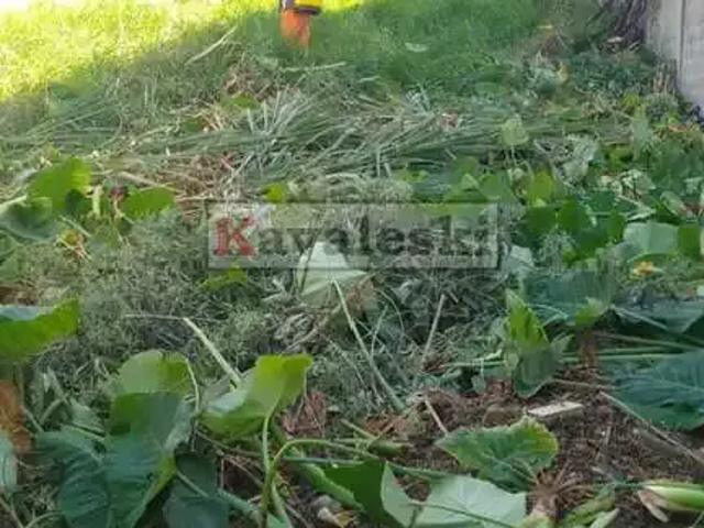 Terreno / Lote para Venda em São Paulo/SP Sacomã