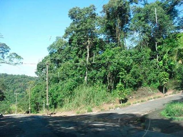 Terreno / Lote para Venda em São Paulo/SP Serra da Cantareira