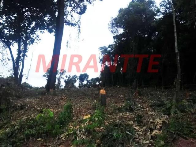 Terreno / Lote para Venda em São Paulo/SP Serra da Cantareira