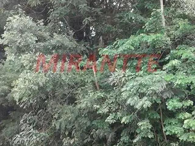 Terreno / Lote para Venda em São Paulo/SP Serra da Cantareira