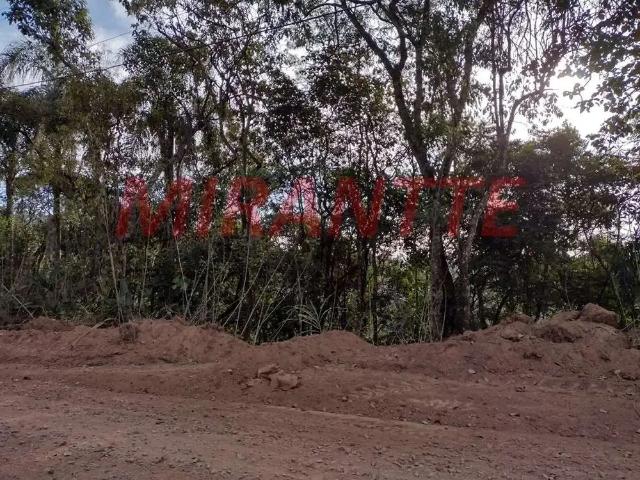 Terreno / Lote para Venda em São Paulo/SP Serra da Cantareira