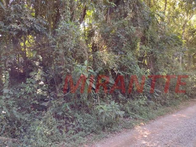 Terreno / Lote para Venda em São Paulo/SP Serra da Cantareira