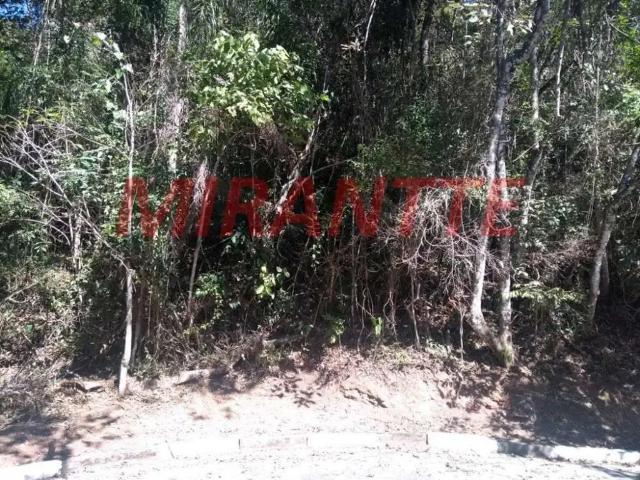 Terreno / Lote para Venda em São Paulo/SP Serra da Cantareira