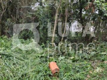 Terreno / Lote para Venda em São Paulo/SP Serra da Cantareira