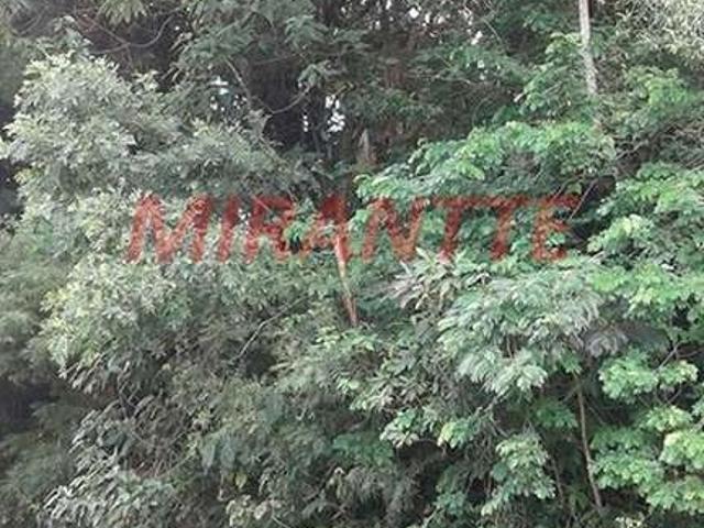Terreno / Lote para Venda em São Paulo/SP Serra da Cantareira