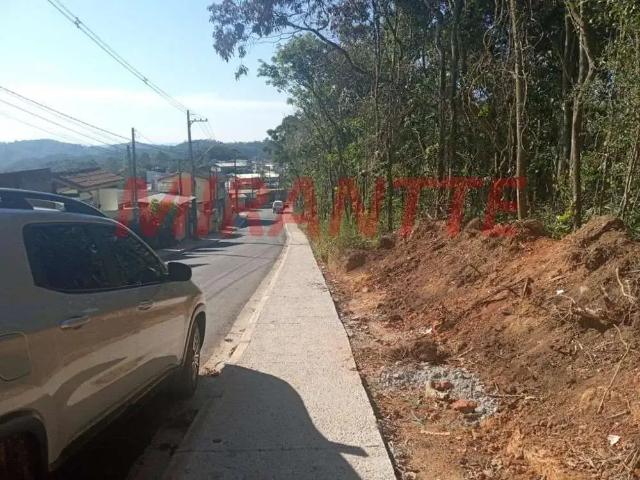 Terreno / Lote para Venda em São Paulo/SP Serra da Cantareira
