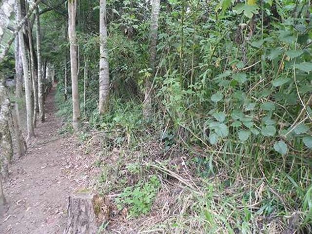 Terreno / Lote para Venda em São Paulo/SP Serra da Cantareira