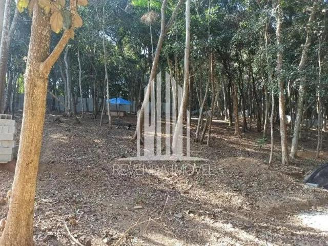 Terreno / Lote para Venda em São Paulo/SP Sete Praias