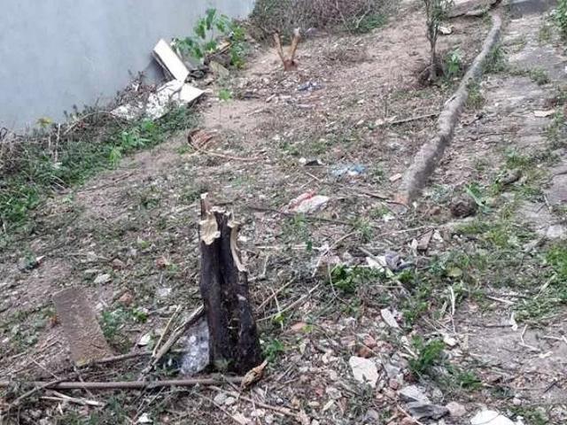 Terreno / Lote para Venda em São Paulo/SP Siciliano