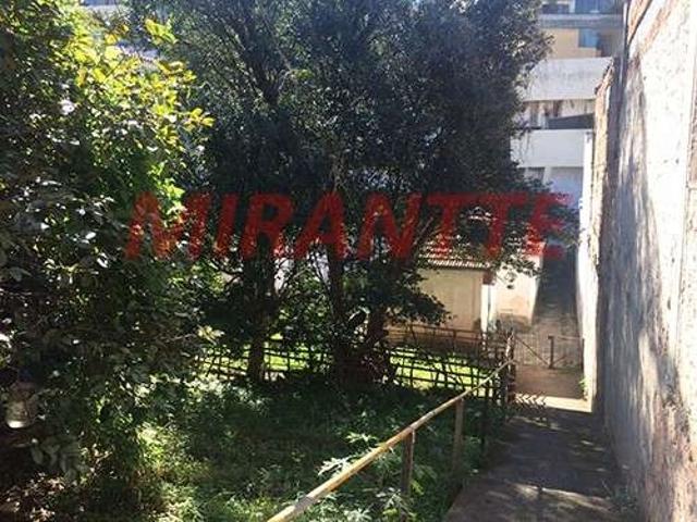 Terreno / Lote para Venda em São Paulo/SP Sumaré