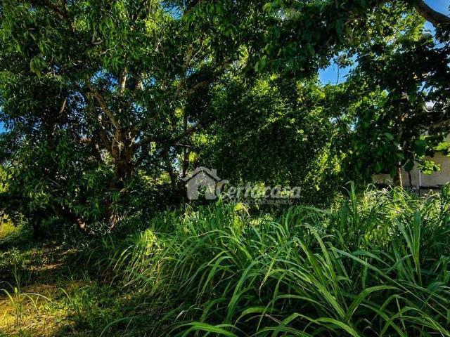 Terreno / Lote para Venda em São Pedro da Aldeia/RJ Balneário das Conchas