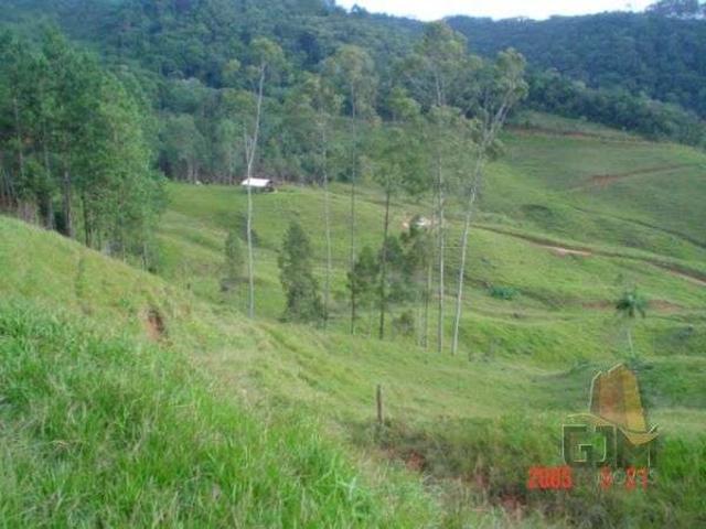 Terreno / Lote para Venda em São Pedro de Alcântara/SC Santa Filomena