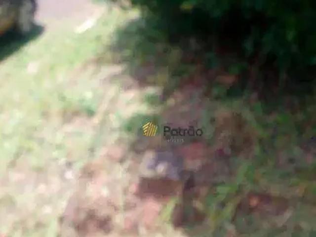 Terreno / Lote para Venda em São Pedro/SP Chacaras ABC