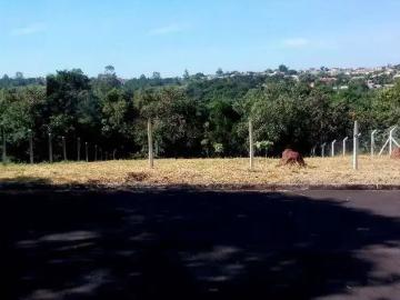 Terreno / Lote para Venda em São Pedro/SP Jardim Botanico