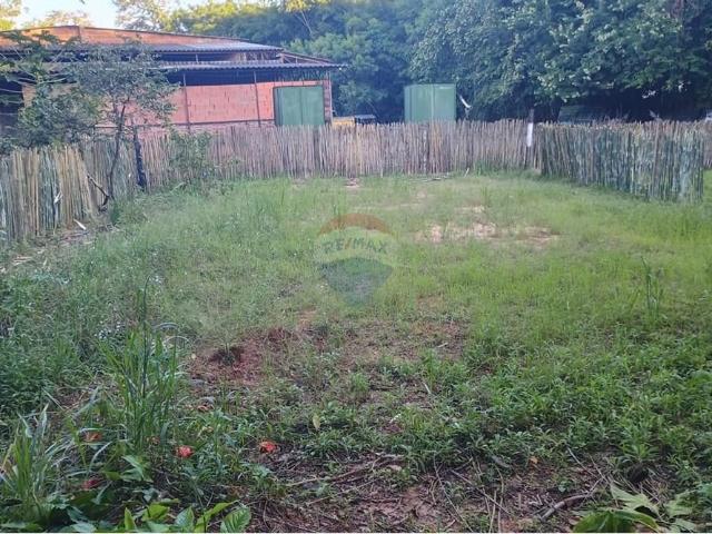 Terreno / Lote para Venda em São Pedro/SP Santa Cruz