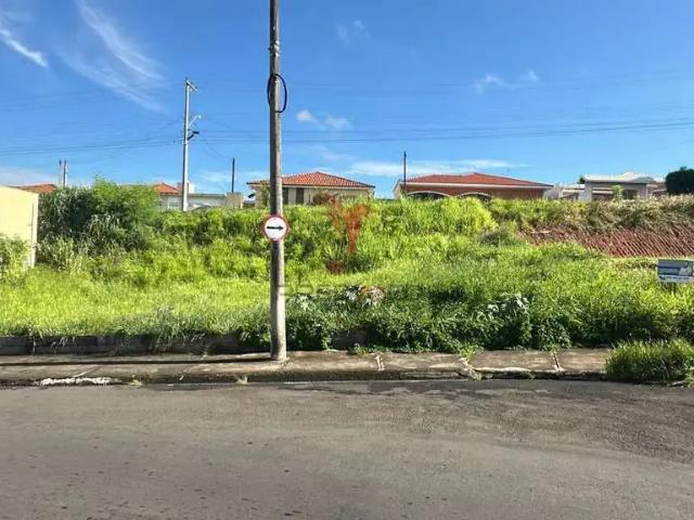 Terreno / Lote para Venda em São Pedro/SP Santa Cruz