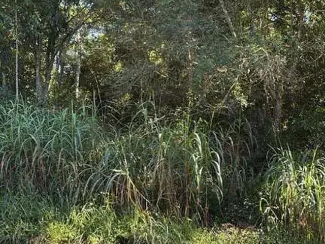 Terreno / Lote para Venda em São Roque/SP Taipas De Pedras Mailasqui