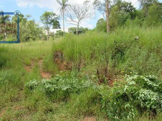 Terreno / Lote para Venda em São Roque/SP Taipas De Pedras Mailasqui