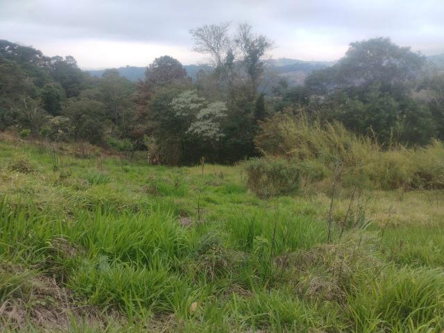 Terreno / Lote para Venda em São Roque/SP Vila Darcy Penteado Mailasqui