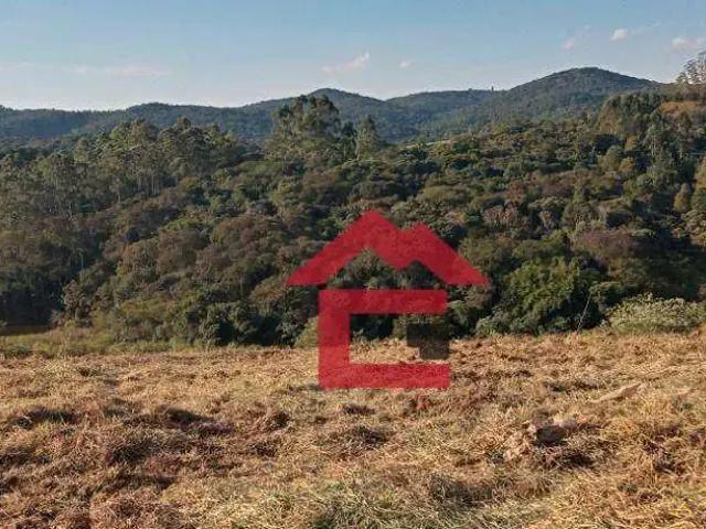 Terreno / Lote para Venda em São Roque/SP Centro Canguera