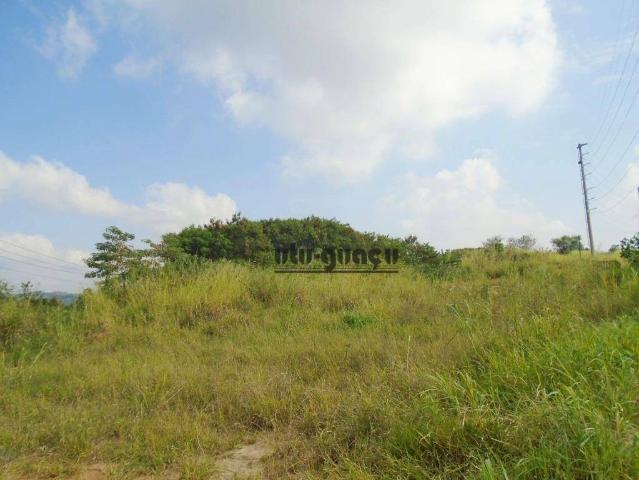 Terreno / Lote para Venda em São Roque/SP Dona Catarina