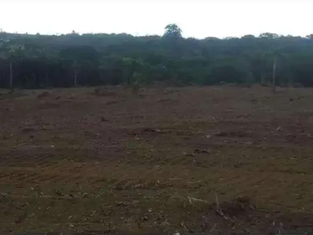 Terreno / Lote para Venda em São Roque/SP Jardim Conceição