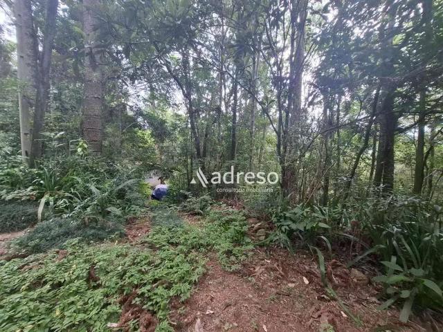 Terreno / Lote para Venda em São Roque/SP Sorocamirim