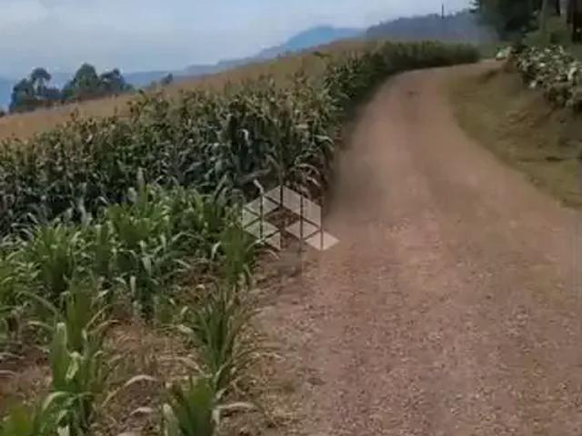 Terreno / Lote para Venda em São Vendelino/RS Centro