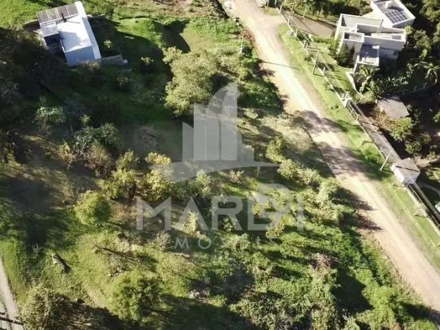 Terreno / Lote para Venda em São Vendelino/RS Centro