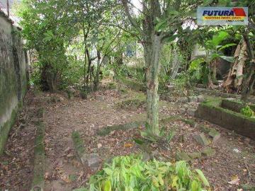 Terreno / Lote para Venda em São Vicente/SP Centro